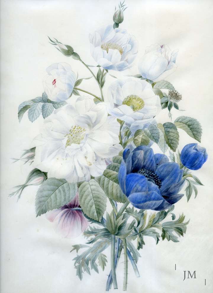 A Bouquet of Roses and Anemones